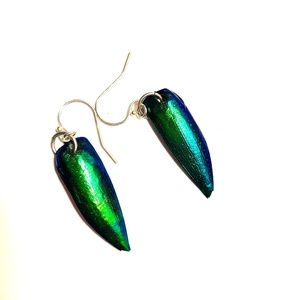 EMERALD BEETLE WING EARRINGS -  IRIDESCENT - STERLING SILVER WIRES